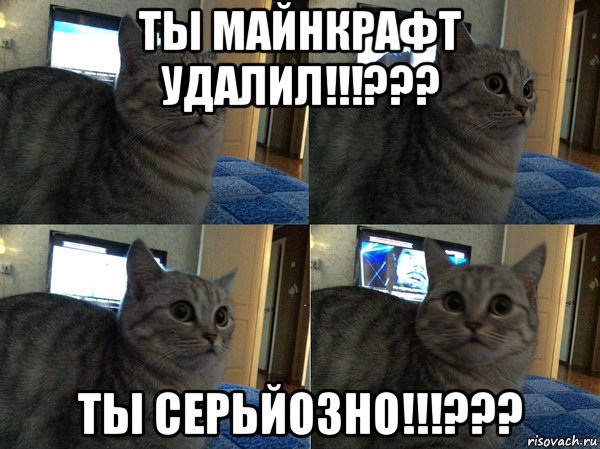 Мемы с котами без надписей