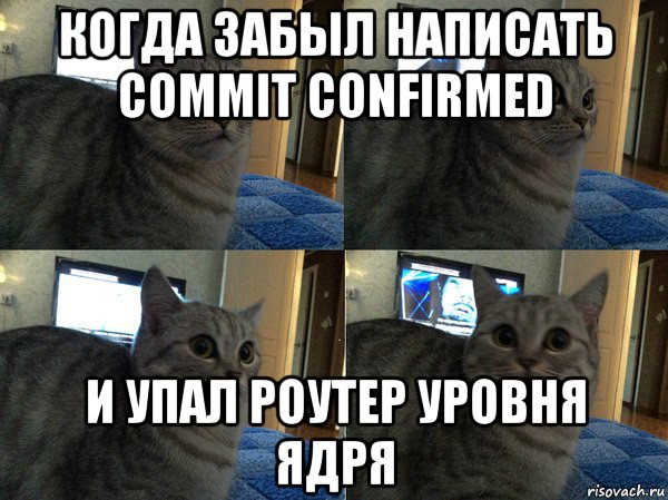 когда забыл написать commit confirmed и упал роутер уровня ядря, Мем  Кот в шоке