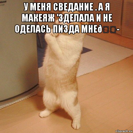 Мем  котэ молится