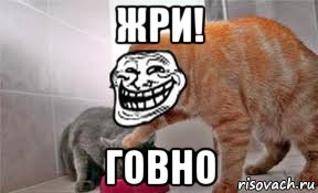 жри! говно, Мем Котэйко