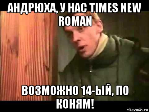 андрюха, у нас times new roman возможно 14-ый, по коням!, Мем Ларин по коням