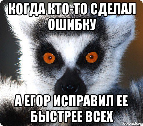 когда кто-то сделал ошибку а егор исправил ее быстрее всех, Мем лемур