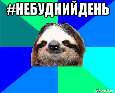 #небуднийдень , Мем Ленивец