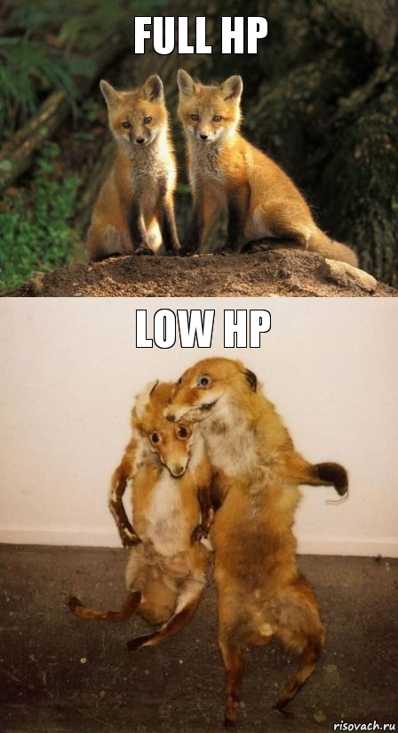 Full hp Low hp, Комикс Лисицы