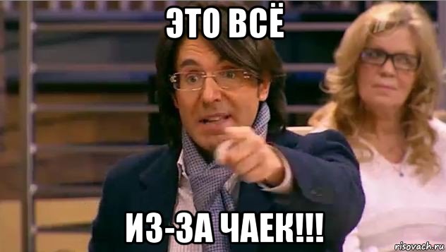 это всё из-за чаек!!!, Мем Андрей Малахов