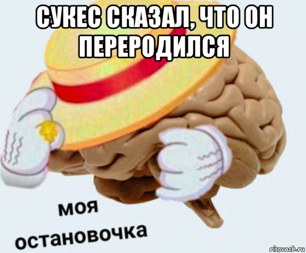 сукес сказал, что он переродился , Мем   Моя остановочка мозг