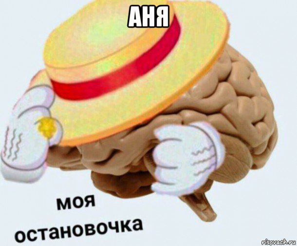 аня , Мем   Моя остановочка мозг