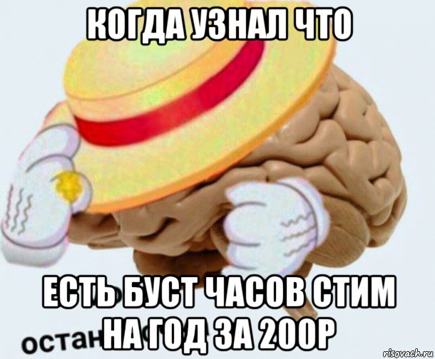 когда узнал что есть буст часов стим на год за 200р, Мем   Моя остановочка мозг