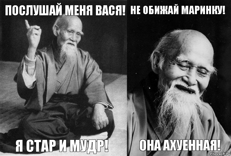 Послушай меня Вася! Я стар и мудр! Не обижай Маринку! Она ахуенная!, Комикс Мудрец-монах (4 зоны)