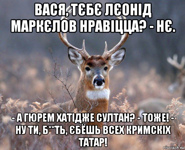 вася, тєбє лєонід маркєлов нравіцца? - нє. - а гюрем хатідже султан? - тоже! - ну ти, б**ть, єбёшь всех кримскіх татар!, Мем   Наивный олень