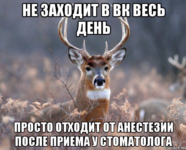 не заходит в вк весь день просто отходит от анестезии после приема у стоматолога