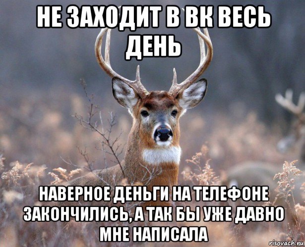 не заходит в вк весь день наверное деньги на телефоне закончились, а так бы уже давно мне написала