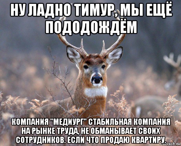 ну ладно тимур, мы ещё пододождём компания "медиург" стабильная компания на рынке труда, не обманывает своих сотрудников. если что продаю квартиру.