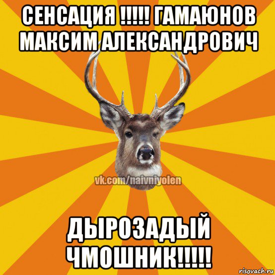 сенсация !!!!! гамаюнов максим александрович дырозадый чмошник!!!!!