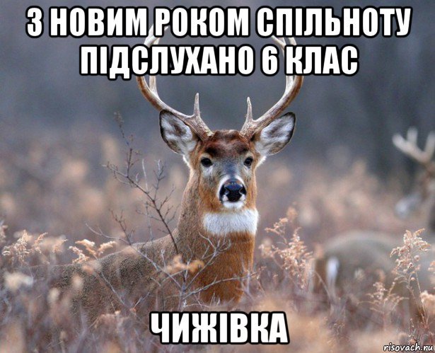 з новим роком спільноту підслухано 6 клас чижівка, Мем   Наивный олень