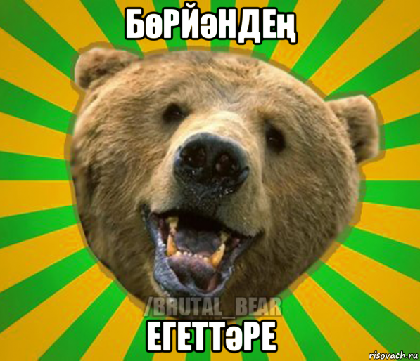 бөрйәндең егеттәре