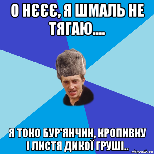 о нєєє, я шмаль не тягаю.... я токо бур'янчик, кропивку і листя дикої груші.., Мем Празднчний паца