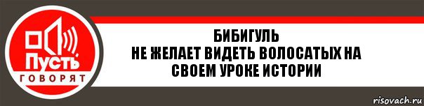 Бибигуль
Не желает видеть волосатых на своем уроке истории, Комикс   пусть говорят