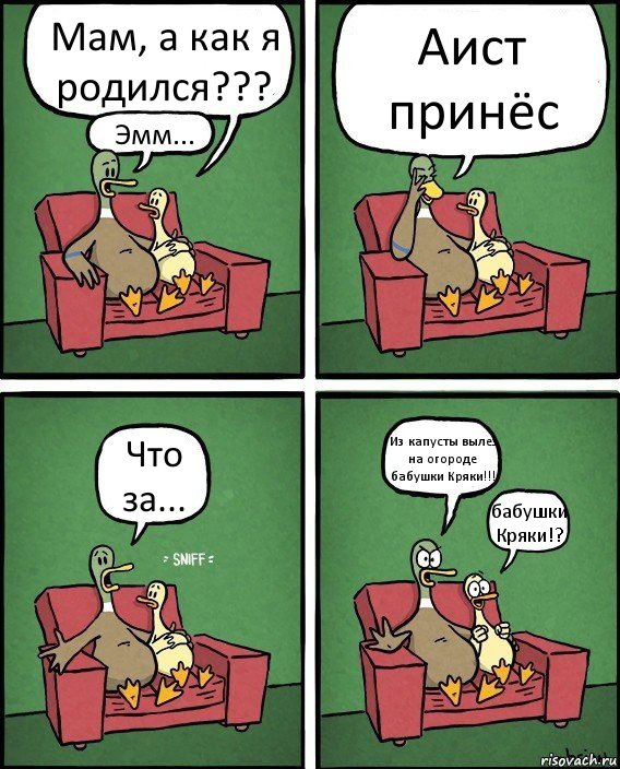 Мам, а как я родился??? Эмм... Аист принёс Что за... Из капусты вылез на огороде бабушки Кряки!!! бабушки Кряки!?