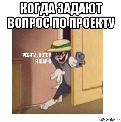 когда задают вопрос по проекту , Мем Ребята я в этом шарю