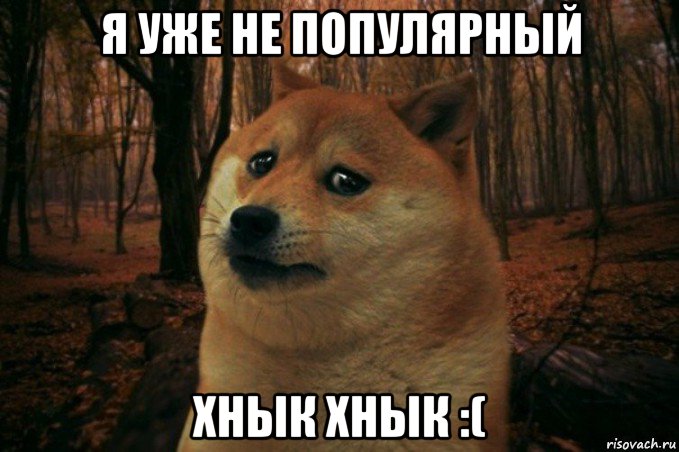 я уже не популярный хнык хнык :(, Мем SAD DOGE