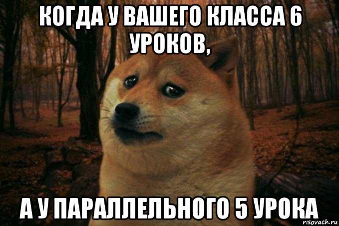 когда у вашего класса 6 уроков, а у параллельного 5 урока, Мем SAD DOGE