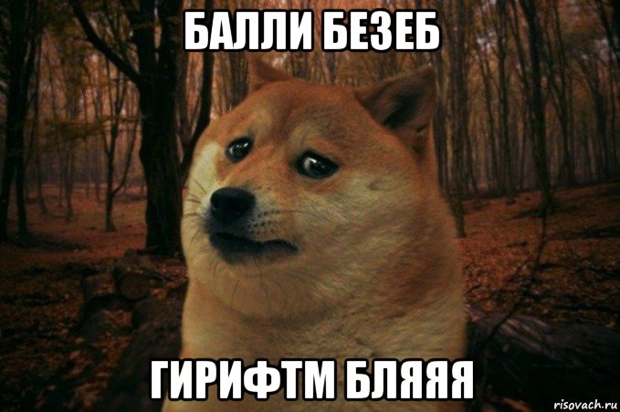 балли безеб гирифтм бляяя, Мем SAD DOGE