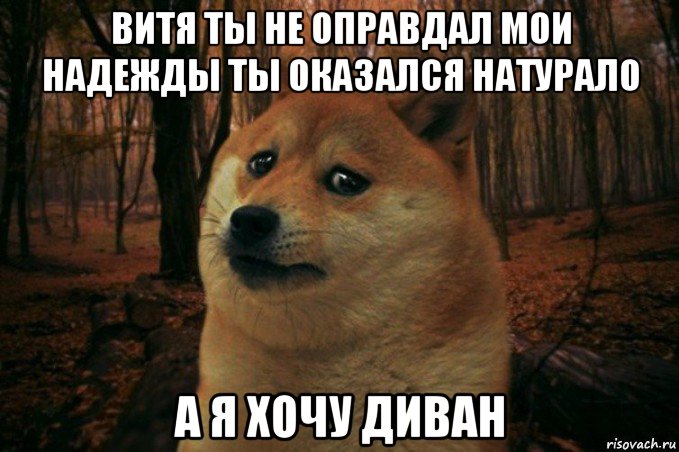 витя ты не оправдал мои надежды ты оказался натурало а я хочу диван, Мем SAD DOGE