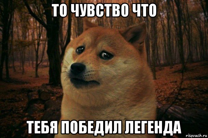 то чувство что тебя победил легенда, Мем SAD DOGE