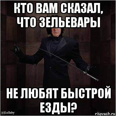 кто вам сказал, что зельевары не любят быстрой езды?