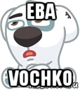 eba vochko, Мем  Стикер вк