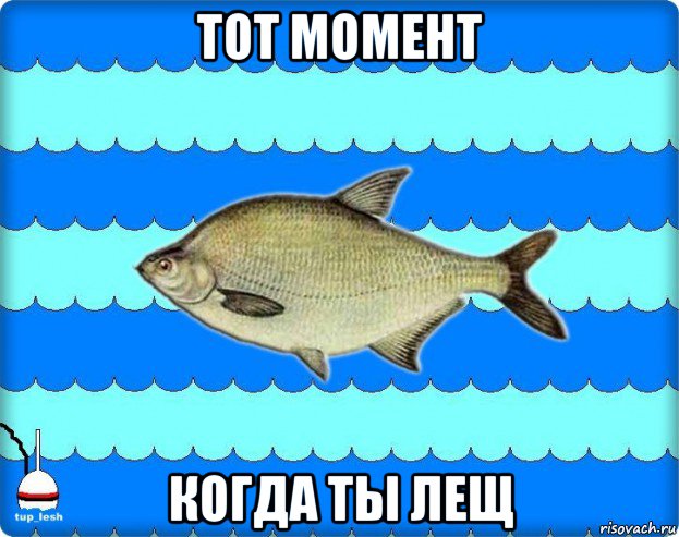 тот момент когда ты лещ, Мем Тупичный лещ