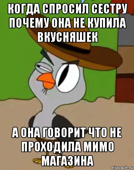 когда спросил сестру почему она не купила вкусняшек а она говорит что не проходила мимо магазина, Мем    Упоротая сова