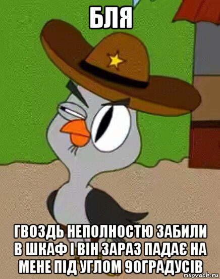 бля гвоздь неполностю забили в шкаф і він зараз падає на мене під углом 90градусів, Мем    Упоротая сова