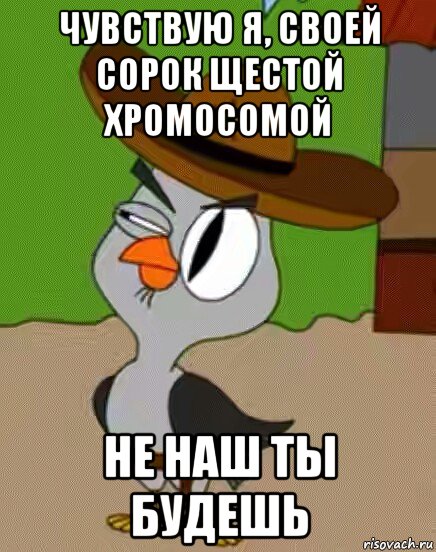 чувствую я, своей сорок щестой хромосомой не наш ты будешь, Мем    Упоротая сова