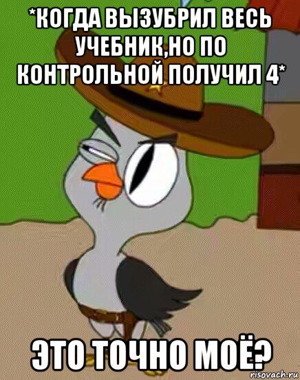 *когда вызубрил весь учебник,но по контрольной получил 4* это точно моё?, Мем    Упоротая сова