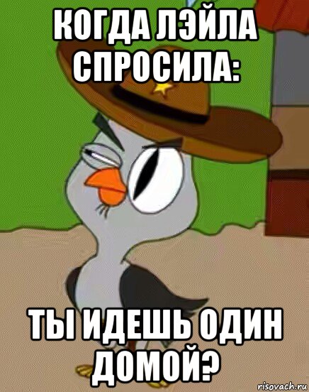 когда лэйла спросила: ты идешь один домой?, Мем    Упоротая сова