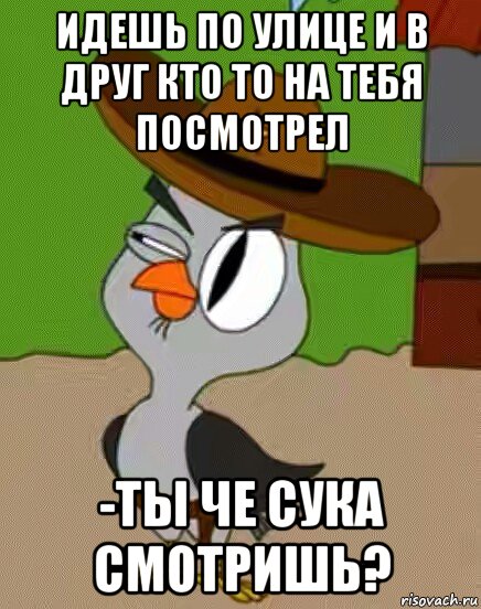 идешь по улице и в друг кто то на тебя посмотрел -ты че сука смотришь?, Мем    Упоротая сова