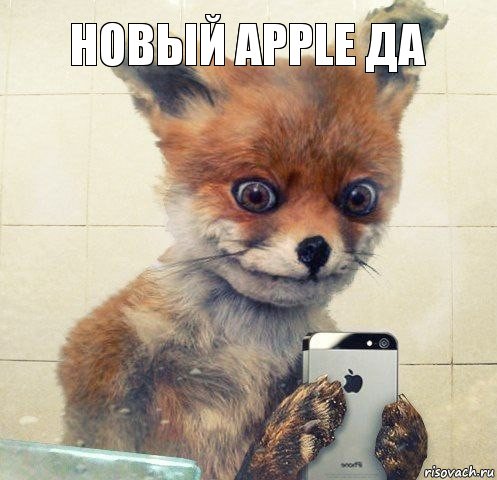 новый apple да, Комикс Селфи упоротой лисы