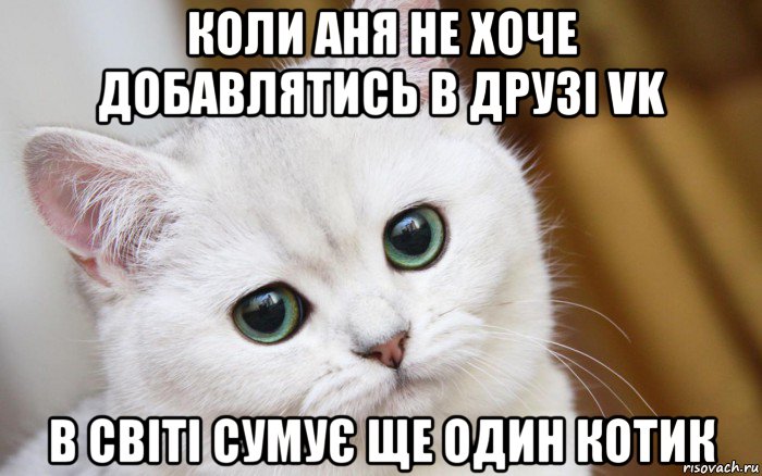 коли аня не хоче добавлятись в друзі vk в світі сумує ще один котик, Мем  В мире грустит один котик