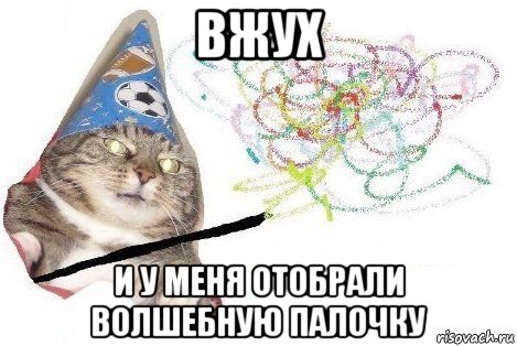 вжух и у меня отобрали волшебную палочку, Мем Вжух