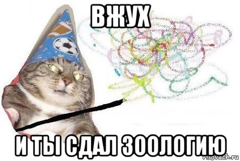 вжух и ты сдал зоологию, Мем Вжух