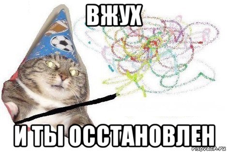 вжух и ты осстановлен, Мем Вжух