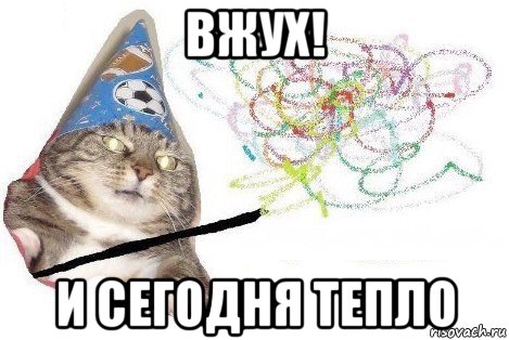 вжух! и сегодня тепло, Мем Вжух