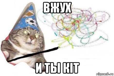 вжух и ты кіт, Мем Вжух