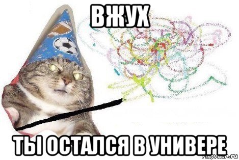 вжух ты остался в универе, Мем Вжух