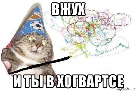 вжух и ты в хогвартсе, Мем Вжух