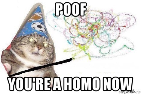 poof you're a homo now, Мем Вжух