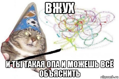 вжух и ты такая опа и можешь всё объяснить, Мем Вжух