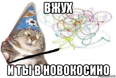 вжух и ты в новокосино, Мем Вжух